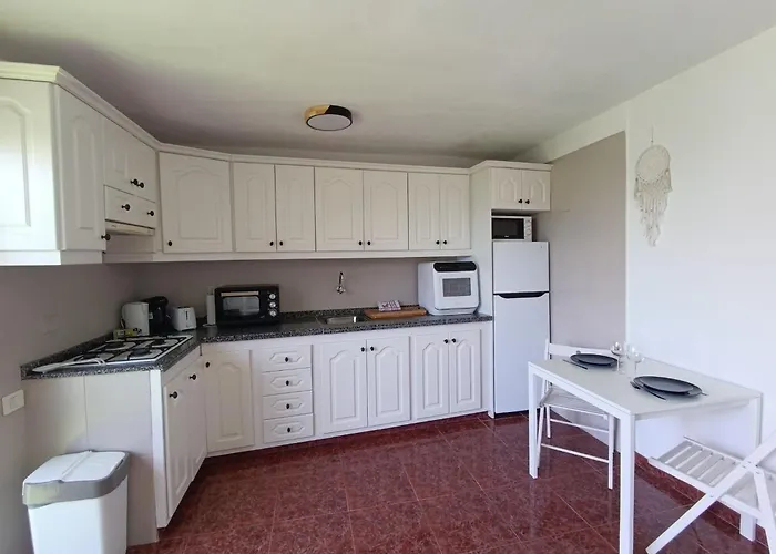 Appartement Avec Terrasse Et Vue Mer